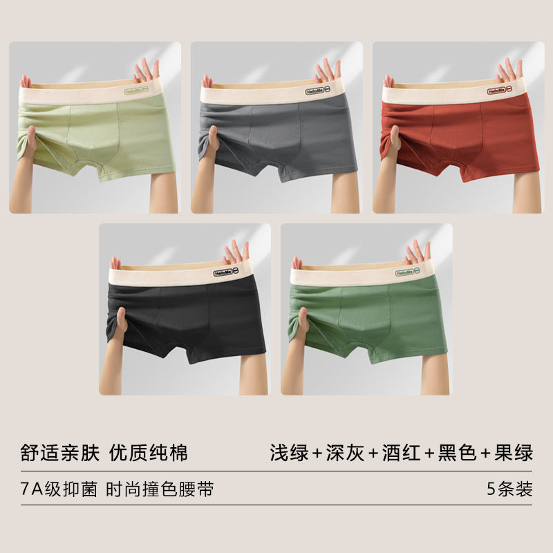 Z26051803男內褲男純棉抗菌平角褲青年全棉農產品四角褲頭男生大尺碼短褲
