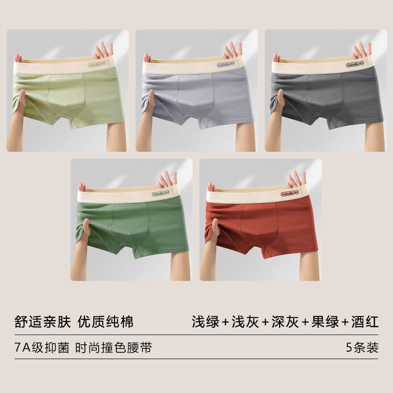 Z26051803男內褲男純棉抗菌平角褲青年全棉農產品四角褲頭男生大尺碼短褲