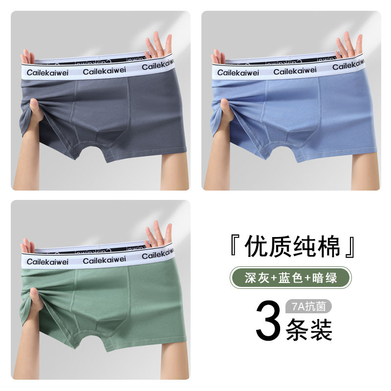 Z26051804男內褲男純棉抗菌平角褲青年全棉農產品四角褲頭男生大尺碼短褲