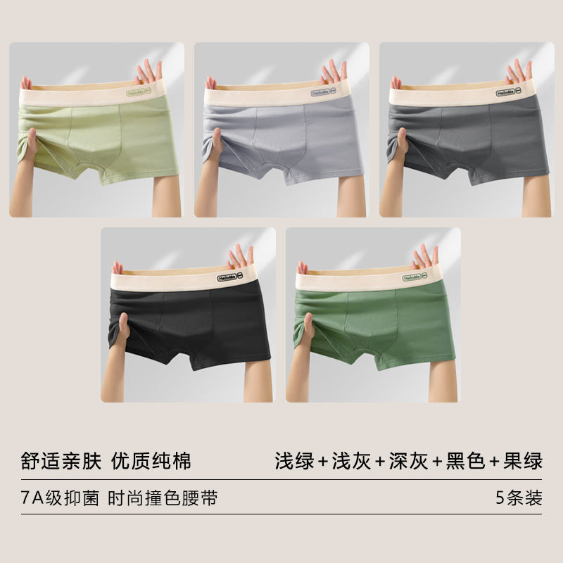 Z26051803男內褲男純棉抗菌平角褲青年全棉農產品四角褲頭男生大尺碼短褲