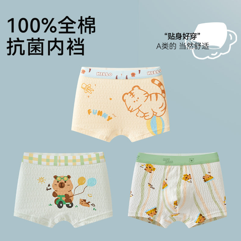 SB26030206兒童內褲男童男孩純棉a類棉平角四角褲發育期男寶寶大童不夾屁屁
