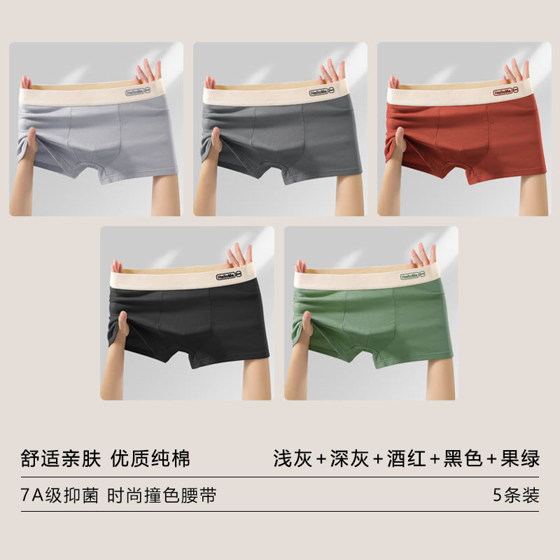 Z26051803男內褲男純棉抗菌平角褲青年全棉農產品四角褲頭男生大尺碼短褲