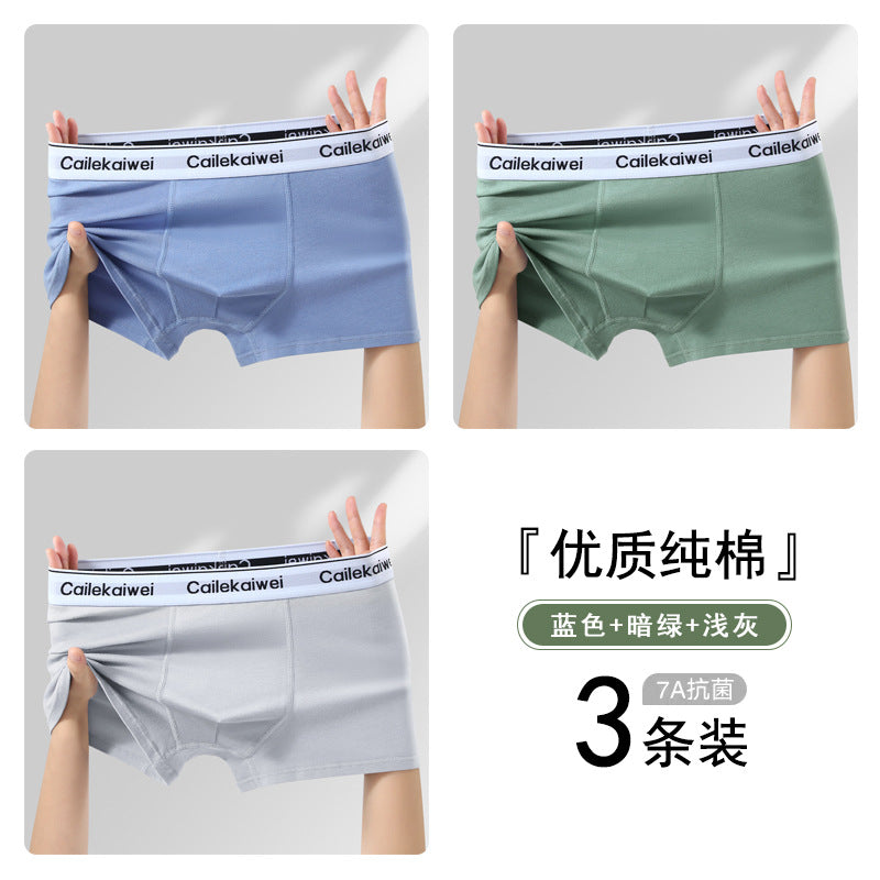Z26051804男內褲男純棉抗菌平角褲青年全棉農產品四角褲頭男生大尺碼短褲