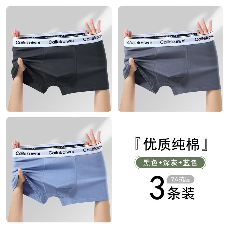 Z26051804男內褲男純棉抗菌平角褲青年全棉農產品四角褲頭男生大尺碼短褲