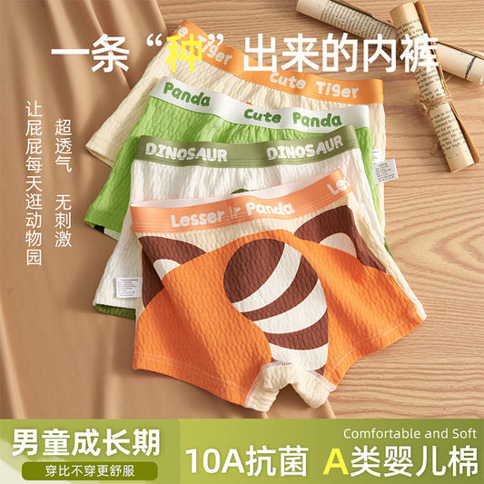 SB26030206兒童內褲男童男孩純棉a類棉平角四角褲發育期男寶寶大童不夾屁屁