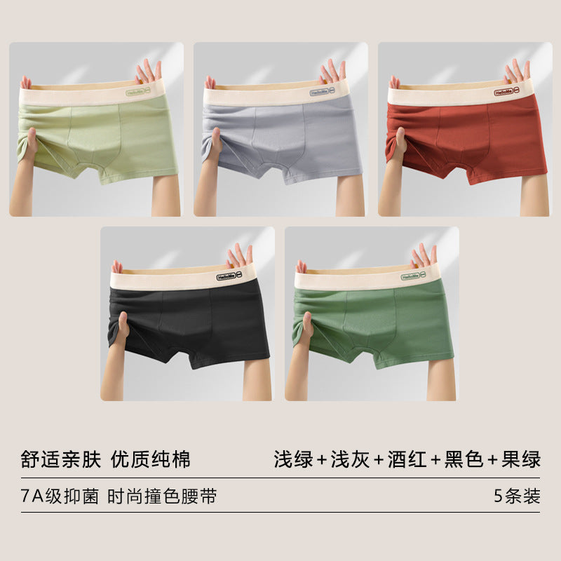Z26051803男內褲男純棉抗菌平角褲青年全棉農產品四角褲頭男生大尺碼短褲