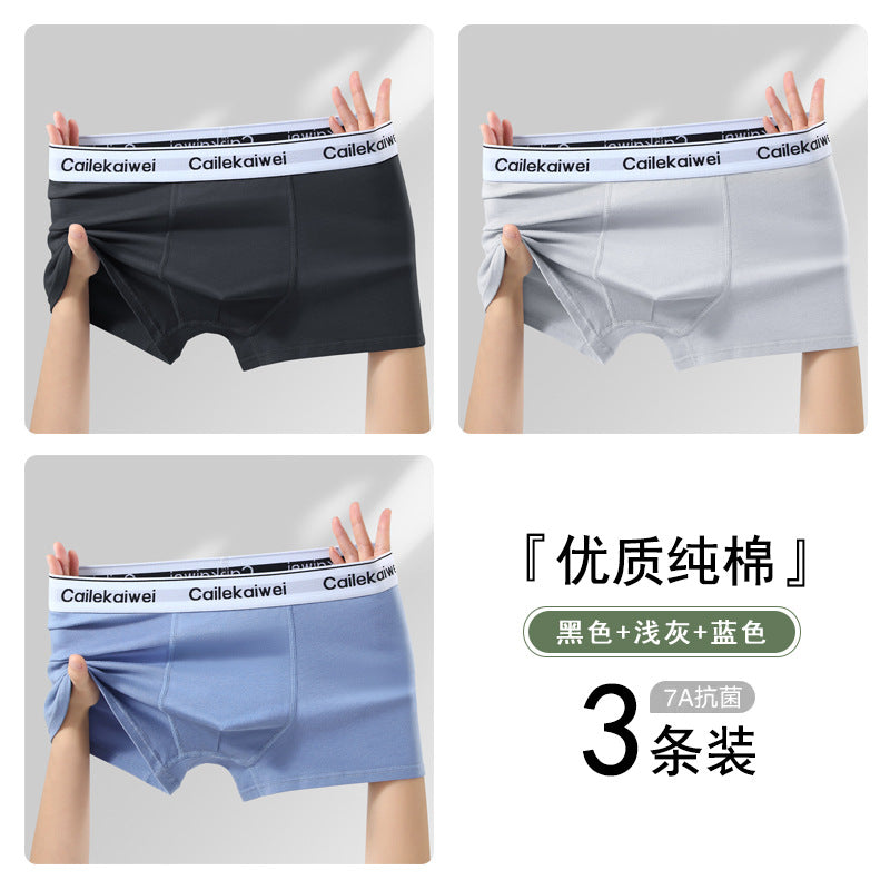 Z26051804男內褲男純棉抗菌平角褲青年全棉農產品四角褲頭男生大尺碼短褲