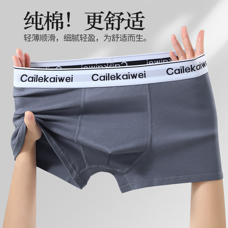 Z26051804男內褲男純棉抗菌平角褲青年全棉農產品四角褲頭男生大尺碼短褲