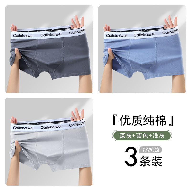 Z26051804男內褲男純棉抗菌平角褲青年全棉農產品四角褲頭男生大尺碼短褲