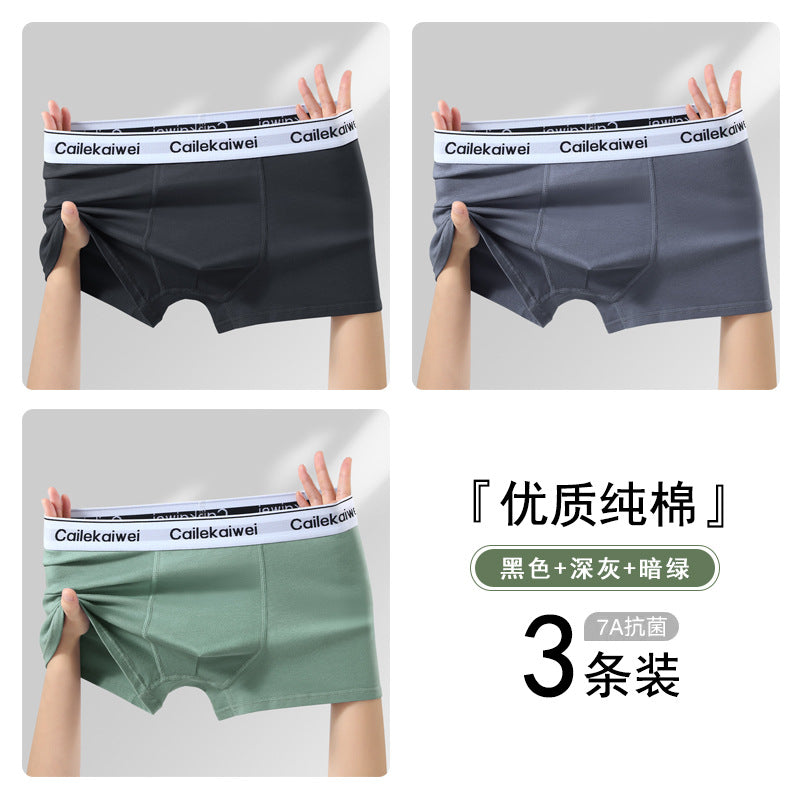 Z26051804男內褲男純棉抗菌平角褲青年全棉農產品四角褲頭男生大尺碼短褲