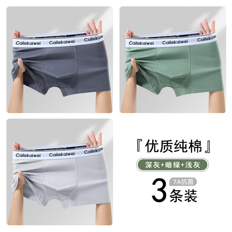 Z26051804男內褲男純棉抗菌平角褲青年全棉農產品四角褲頭男生大尺碼短褲