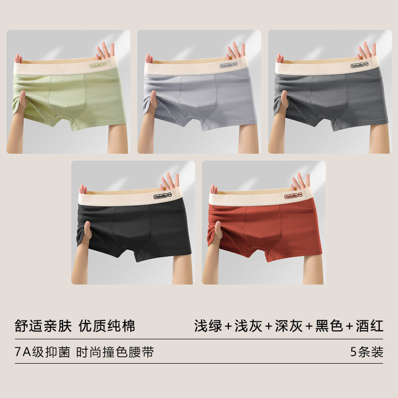 Z26051803男內褲男純棉抗菌平角褲青年全棉農產品四角褲頭男生大尺碼短褲